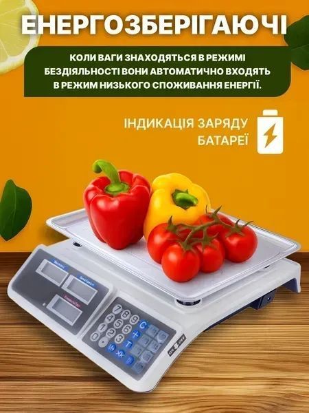 Електронні торгові ваги з нержавіючої сталі до 50 кг, з подвійним дисплеєм, білі v_0100130 фото