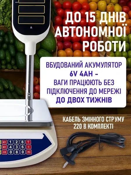 Торгові електронні ваги зі стійкою 50 см, подвійним дисплеєм, функцією тарування та акумулятором до 15 днів v_0100131 фото