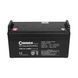Аккумуляторная батарея MCA FCG12-120BT GEL 12 В 120 Ач (331 x 174 x 214), 33 кг FCG12-120BT фото 2