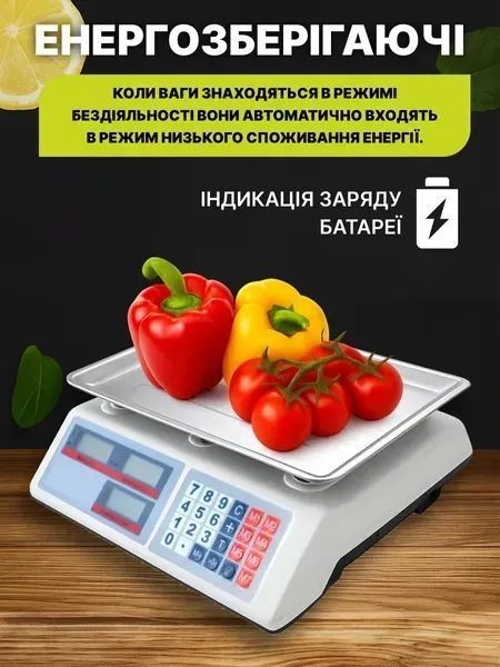 Настільні торгові ваги з платформою з нержавіючої сталі та LED-дисплеєм, до 50 кг, білі v_0100127 фото